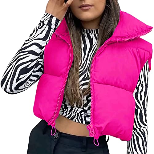 Geagodelia Puffer Weste Damen Kurz Ärmellose Jacke Leicht Steppweste ohne Kapuze Reißverschluss Stehkragen Steppjacke Frühling Winter Warm Übergangsjacke (01-Pink, L) von Geagodelia