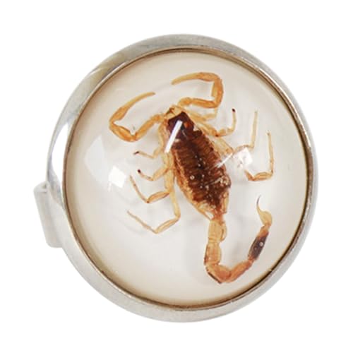 Skorpionringe Vielseitige Und Modische Öffnung Die Einstellbar Für Tägliche Party Gelegentlich Und Alltägliche Verschleiß Eröffnungsringe von Geavonyg