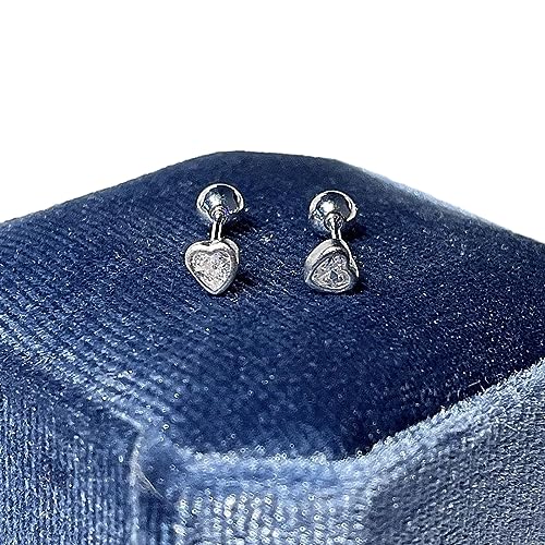 Y2K Bolzen Ohrringe Ohrschmuck Trendy Accessoires Legierungsmaterial Seuchen Geeignet Für Hochzeitsfeier Täglich Schweiß von Geavonyg