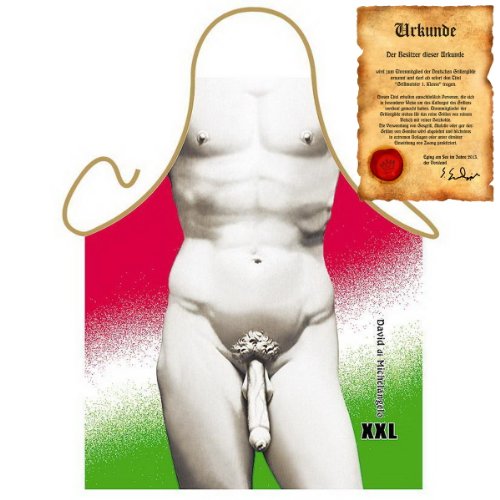 Kochschürze Männer - David Michelangelo XXL - Grill Koch Küchenschürze Schürze Männer Geschenke Set geil bedruckt mit GRATIS Grillmeister Urkunde von Geile-Fun-T-Shirts