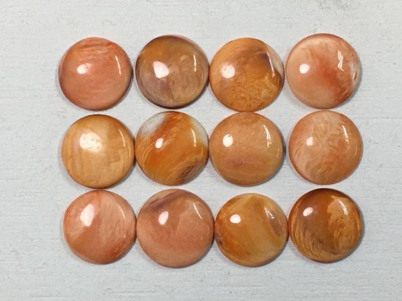 16mm Orange Spiny Oyster Shell Runder Cabochon Preis Für 2 Stück 16mm Orange Spiny Oyster Shell Runder Cabochon Preis Für 2 Stück von Gembeadstore