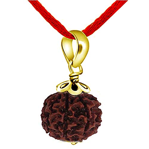 Gemsonclick Natural Eight Mukhi 8 Face Indonesia Rudraksh Bead Pendant Spirituelle Chakra-Heilung Gelbgold vergoldet Meditation Medaillon Schmuck von Gemsonclick