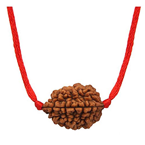 Gemsonclick Original zertifizierter 2 Mukhi zweiseitiger nepalesischer Rudraksha-Perlen-Anhänger mit rotem Faden Einfache lose Perlenmedaillons für Männer und Frauen von Gemsonclick