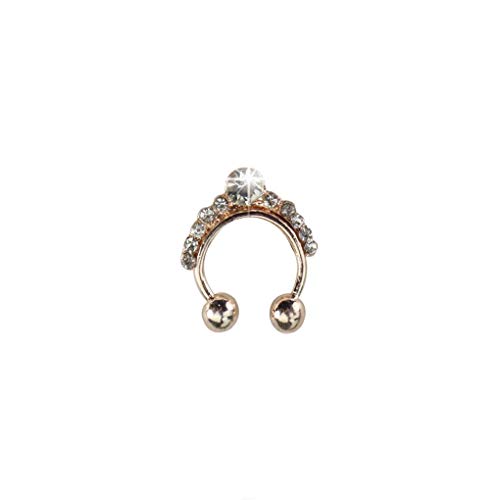 1 Stück Damen AAA Zirkonia Nasenbügel Ring Non-Piercing Septum Frauen Schmuck sehr praktisch und beliebt von Generic