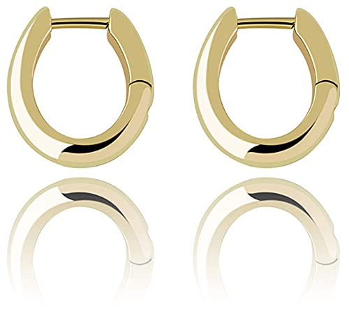 925 Sterling Silber Ohrringe Hip Hop Männer und Frauen Schlichter Silberschmuck 14 Karat/Weißvergoldung Creolen von Generic