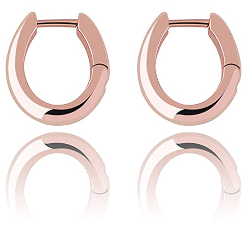 925 Sterling Silber Ohrringe Hip Hop Männer und Frauen Schlichter Silberschmuck 14 Karat/Weißvergoldung Creolen von Generic