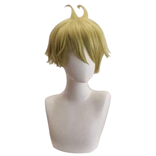 Anime Cosplay Perücken Für Rantaro Amami Styling Haar Styling Geschlossenes Gesicht Reverse Warped Cosplay Perücken Halloween Kostüm Party von Generic