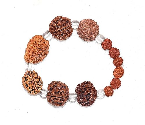Aport Home Presents Rudraksha Armband Braun Nepali Rudraksha Armband 2 3 4 5 6 7 Mukhi -Perlen Mit Kristallperlen Für Männer & Frauen #Aport-6062 von Generic