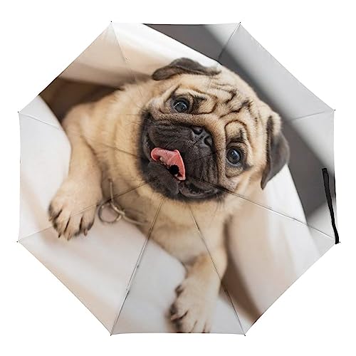 Automatischer Regenschirm Mops Hund Faltbare Regenschirme Leichte Winddichte Regenschirme Tragbare Reiseschirme von Generic