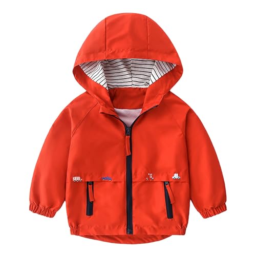 Baby Junge Regenjacke Süße Autodrucken Softshelljacke mit Reißverschluss Kapuze Langarm Jacke Leicht Übergangsjacke Winddicht Mäntel Sportjacke Outdoor (Red, 12-18 Months) von Generic