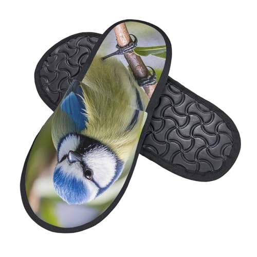 Baumwolle Pantoffeln Blaumeise Bequeme Hauspantoffeln Weiches Hausschuhe Für Schlafzimmer Den Alltag Weihnachten L von Generic