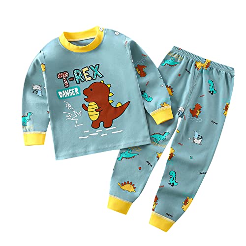 Baumwolle Pyjama Set Baby Jungen Mädchen Dino Schlafanzüge Lange Dinosaurier Pyjama Cute Drucke Nachtwäsche Zweiteiliger Hauskleidung Kinder Langarm Tops and Lang Hosen (AA, 2-3 Years) von Generic