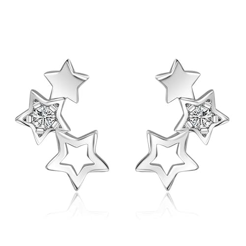 Damen Ohrringe S925 Sterling Silber Ausgehöhlt Sterne Mit Kubischen Zirkonia Temperament Mode Piercing Ohr Knochenstecker Geeignet Für Amis, Les Amoureux von Generic