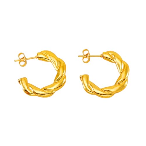 Damen Ohrringe Zirkonia Baumeln Creolen Ohrnägel Damen Runde Ohrringe, Ohrstecker, Schnallen von Generic