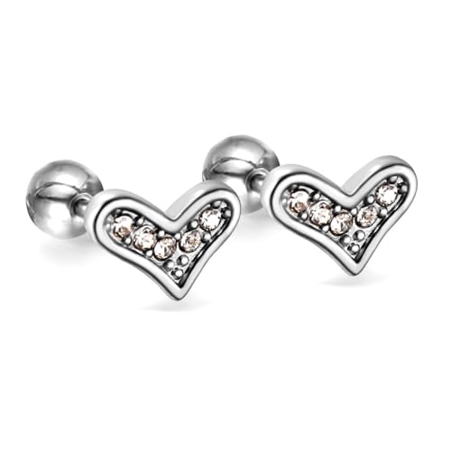 Damen Ohrringe Zirkonia Baumeln Creolen Ohrnägel Liebesohrringe, Modische Und Personalisierte Hohldiamantohrringe, Ohrringe von Generic