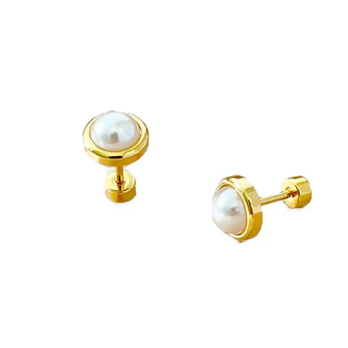 Damen Ohrringe Zirkonia Baumeln Creolen Ohrnägel Perlen-Ohrringe Mit Schraubverschluss, Femininer, Schlichter Ohrschmuck von Generic