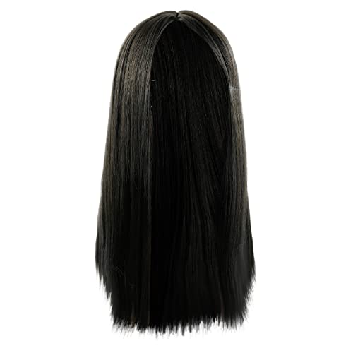 Echthaar Perücke Herren Perücke Echthaar Lace Front Perücken Für Schwarze Frauen Echthaar Glueless Lace Closure Perücken Pre Zupfte Brasilianische Echthaar Perücke Kostüm Karneval (Black, One Size) von Generic