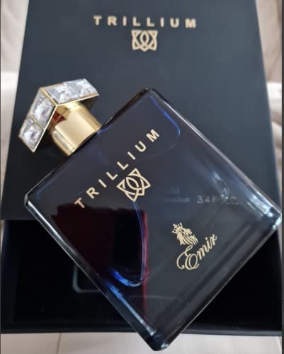 Emir Trillium eau de parfum for men 100ml von Generic
