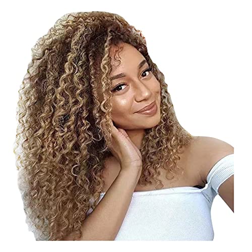 Frauen Afro Langer Lockiger Haar Perücken Flauschige Kleine Locken Perücken Haarkopfabdeckung Hochtemperaturdraht 65 Cm für Die Tägliche Lebensparty von Generic