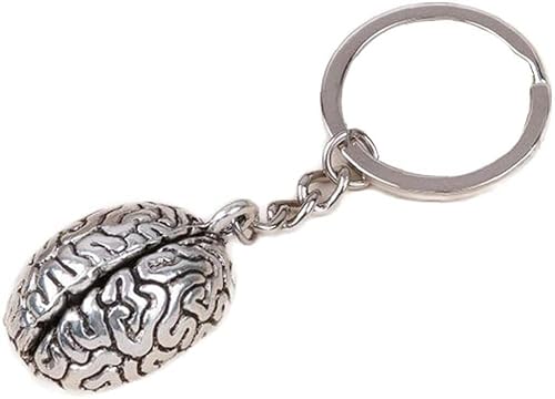 Gehirn Schlüsselanhänger Wissenschaft Schlüsselanhänger Menschliches Gehirn Metall Anhänger Psychologie Anatomie Schönes Design von Generic