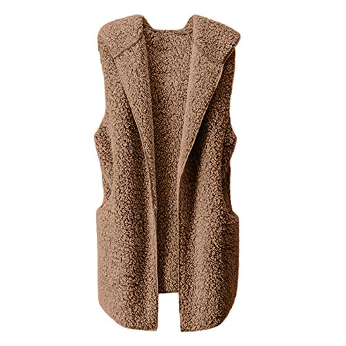 Teddy Jacken für Damen Plüschjacke Damen Teddy Weste Lang Winterjacke Ärmellos Cardigan mit Kapuze Herbst Winter Warm Teddyweste Plüsch Mantel Elegance Freizeit Damenwesten Jacke von Generic