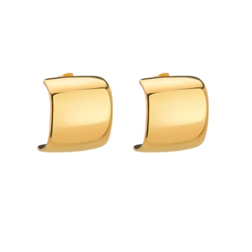 Geschwungene glänzende quadratische Ohrringe Vintage Ohrstecker Leichte Luxus Ohrringe von Generic