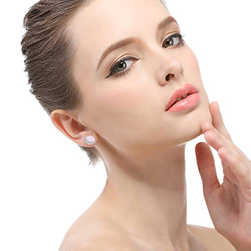 Gestüt Ohrringe für Frauen, S925 Silberohrungen Stollen rosa Kristall Zirkon Ohrringe Stylish ilage kleine Bolzenohrringe für Frauen Mädchen Paare von Generic