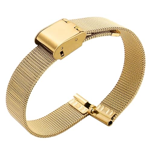 HMFang Massives Edelstahl-Uhrenarmband, Kompatibel Mit Armani Damen-Armband In Kleiner Größe, Kompatibel Mit Mesh-Gürtel 6 Mm, 8 Mm, 10 Mm(ML-D4-Gold,10mm) von Generic
