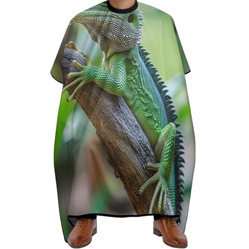 Haar Schneideumhang Grüne Bartagamen klettern auf den Baum, Mode Friseurumhang Antistatisch Haarschneidemantel für Männer Haarschneiden 140X168cm von Generic