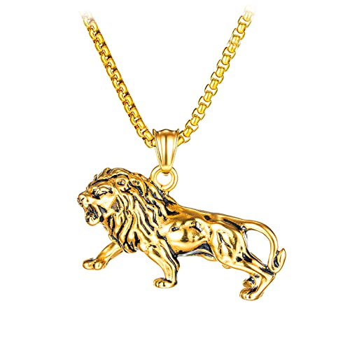 Halskette mit Anhänger aus Edelstahl mit gotischem Löwenkopf für Herren von Generic
