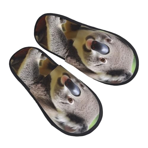 Hauspantoffeln Süßer Koala Scuff Baumwolle Pantoffeln Gemütlich Pantoffeln Für Den Alltag Drinnen Weihnachten L von Generic