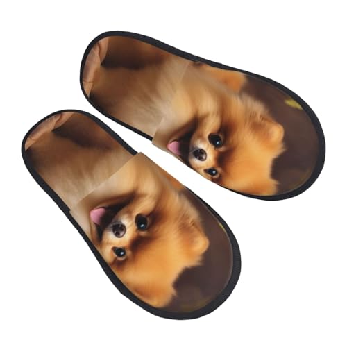 Hausschuhe Gelber Zwergspitz Mit Fellfutter Baumwolle Pantoffeln Wärme Pantoffeln Für Weihnachten Schlafzimmer Unisex M von Generic