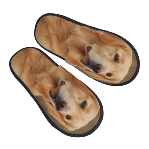 Hausschuhe Golden Retriever Rutschfeste Slippers Wärme Hauspantoffeln Für Unisex Schlafzimmer Weihnachten M von Generic