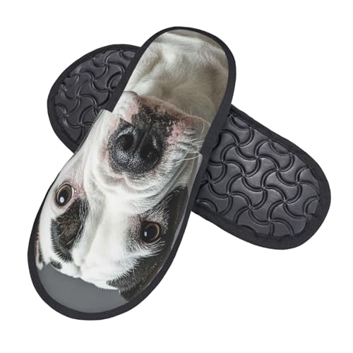 Hausschuhe Süßer Dalmatiner Bequeme Slippers Gemütlich Baumwolle Pantoffeln Für Winter Weihnachten Schlafzimmer M von Generic