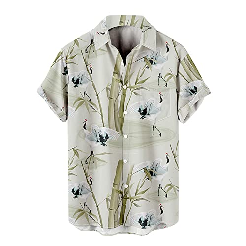 Hawaiihemd Reverskragen Casual Leicht Shirts Button-up Bunt Leicht Loose Fit Business Hemden Retro Comfort Fit Freizeithemd Kurzarmshirt Sommer Jungen Basic Shirt Sweater Sommerhemd von Generic