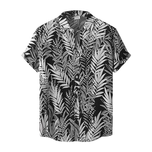 Herren Hemd Kurzarm Hawaiihemd Herren 3D Funky Shirt Hemd Herren Kurzarm Button Down Freizeithemden Hawaii Hemd Männer Hemd Herren Kurzarm Zebra XXL Herren Hemd Kurzarm Hawaiihemd Herren 3D Funky Shirt Hemd Herren Kurzarm Button Down Freizeithemden Hawaii Hemd Männer Hemd Herren Kurzarm Zebra XXL von Generic