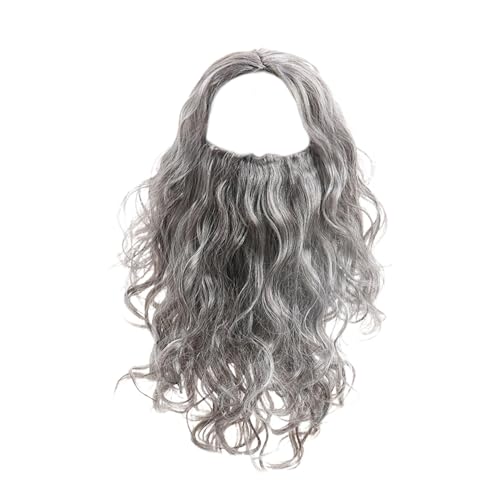 Herren-Perücken und Bart – graue Cosplay-Perücke mit Bart – Halloween-Kostüm, Cosplay, lange lockige Perücken und Bart – langer grauer Zaubererbart und Perücke für Halloween-Party, Rollenspiel von Generic