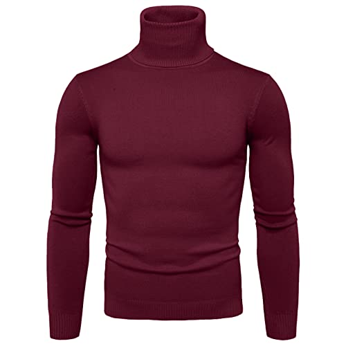 Herren Rollkragenshirt Langarm,Herren Longsleeve Rollkragenpullover Regular Fit Langarmshirts Rollkragen Pullover Baumwolle Sweatshirt Unterzieh Elastisch Einfarbig von Generic