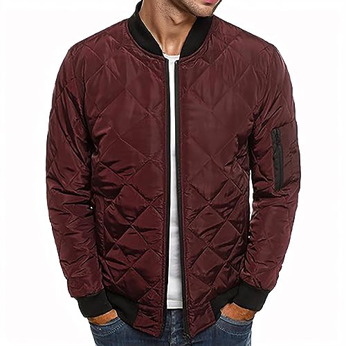 Herren Steppjacke Übergangsjacke Jacke mit Stehkragen Reißverschlusstaschen Regular fit Winterjacke Leichte Steppjacke Winter Jacken Bequeme Kapuzenjacke Herren Daunenjacke mit Kapuze Warm Jacke von Generic