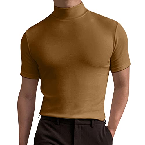 Herren T-Shirt Kurzarm Rollkragenpullover Basic Stehkragen Slim Fit Solid Tops Herren Slim Fit Sweatshirt Sports Thermo Unterhemd Herren Rollkragen T-Shirt Herren Stehkragen (Brown, L) von Generic