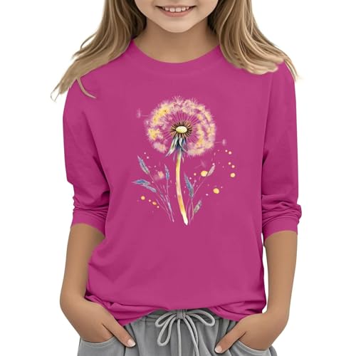 Kinder Mädchen T-Shirt weiches Baumwoll Dämmungs Material langärmlig Rundhals Pullover lässige Passform niedlicher Pusteblumen Print modisches und elastisches Oberteil (Pink, 8-9 Years) von Generic