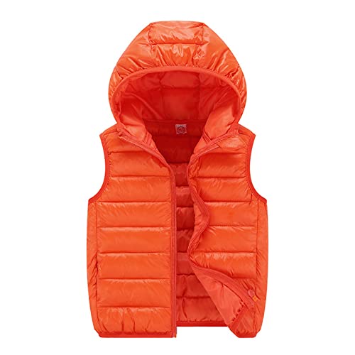 Kinder Steppweste Ärmellos Weste Leichte Jungen Mädchen Winter Warm Gefütterte Jacke Hoodie Sportweste Übeergangsweste Softshell Weste Reißverschluss Wintermantel Reitweste Dünne (Orange, 130) von Generic