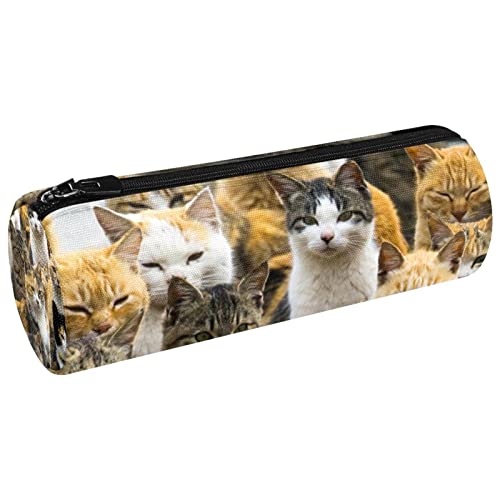 Kleine Make up Tasche, Reißverschlusstasche, Reise Kosmetik Organizer für Frauen und Mädchen,Tierische Katzenfamilie von Generic