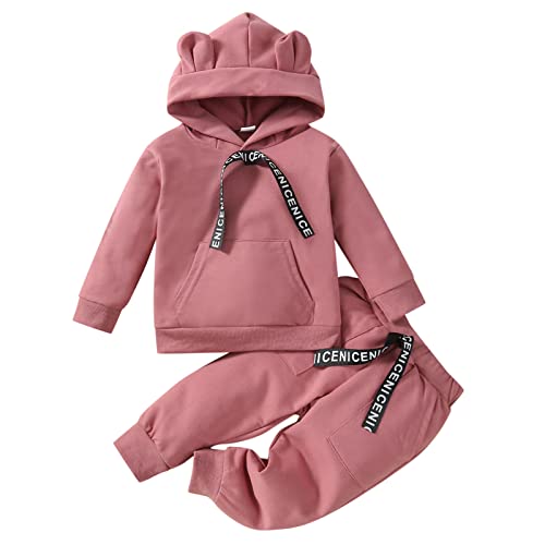 Kleinkind Kinder Kinder Kleinkind Baby Mädchen Jungen Langarm Niedlichen Tiere Hoodie Sweatshirt Pullover Tops Baumwolle Hosen Hosen Outfit Set 2 Kinder Anziehsachen Für Mädchen (Pink, 12-18 Months) von Generic