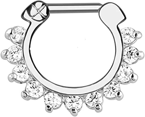 Kristall Nasenring Hoop für Männer Frauen Lippe Ohr Septum Ring Piercing Nasenring Hoop Körperschmuck Nützlich und attraktiv von Generic