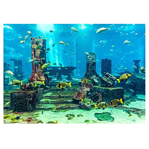 Lebendiges Korallenaquarium Hintergrund Poster PVC -Material 61 X 30 cm Sicherer Fischtankdekorationen Aufkleber Unterwasserfoto Design (61 * 30CM) von Generic
