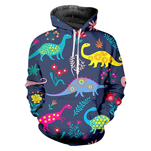 Mann süßes Paar lose Hoodies 3D Druck bunte Streetwear Sweatshirts, Dinosaurier, 4X-Large von Generic