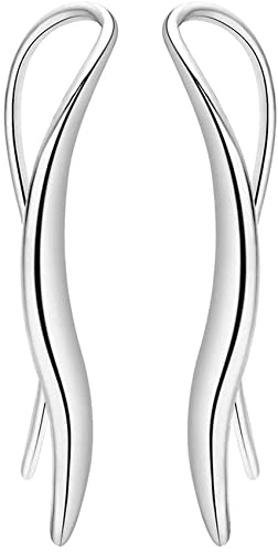 Modische Ohrringe, Temperament, Ohrhänger aus Metall, S Curve, Design, Schmuck, Ohrringe für Frauen, Zubehör (Silber) von Generic
