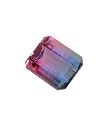 Natural Certified Faceted Bi-Color Tourmaline Octagon Shape - 10.18 ct von Generic