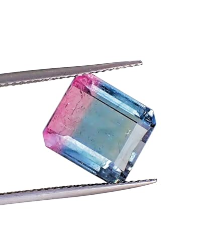 Natural Certified Faceted Bi-Color Tourmaline Octagon Shape - 6.99 ct von Generic